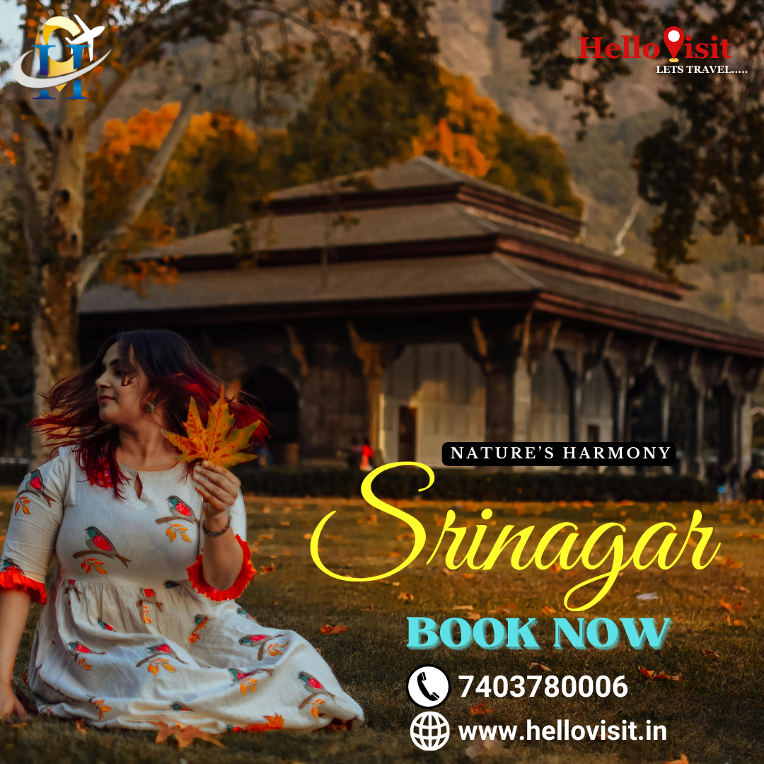  Srinagar Tour Packages