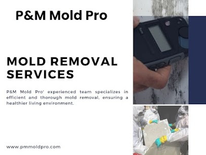  Professional Water Remediation Services | PM Mold: Your Trusted Remediation Company