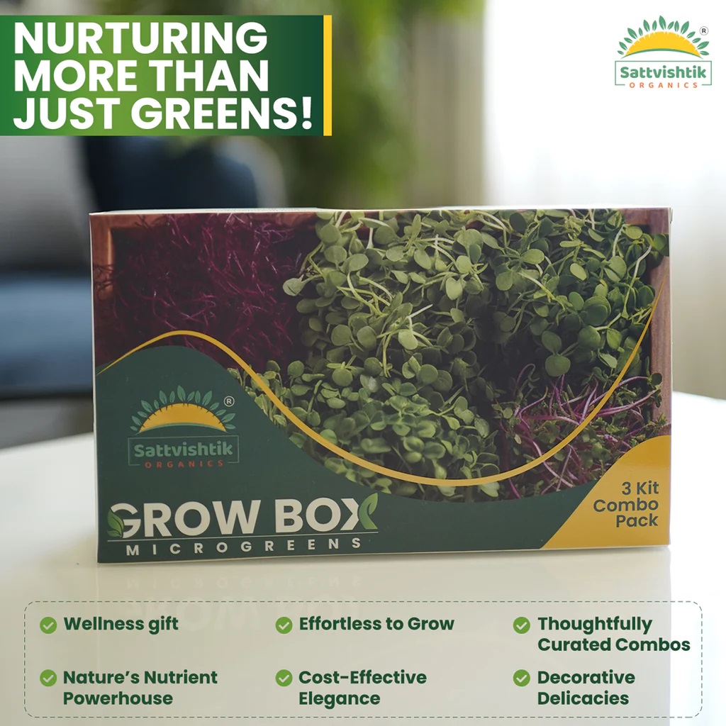  Online affordable microgreens seeds kit in india.