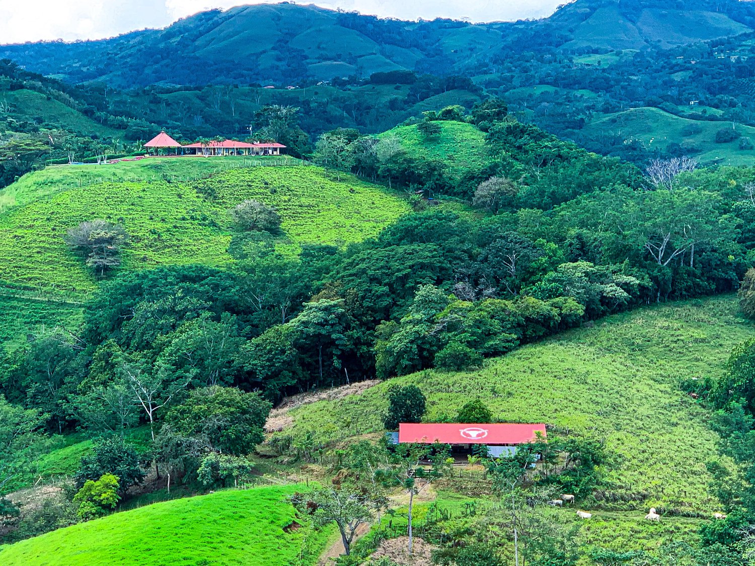  Get the Best Deals On Farm and Ranche's Properties in Costa Rica