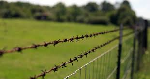  If you are looking to purchase Barbed Wire, shop from Adarsh Steels!