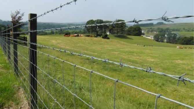  Looking for affordable Barbed Wire for Sale? Check out Adarsh Steels!