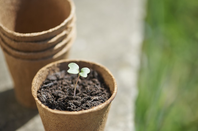  Easy, Affordable, and Effective DIY Grow Kits