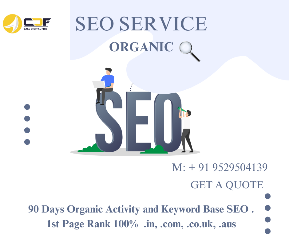  Affordable and Effective: SEO Provider Pune