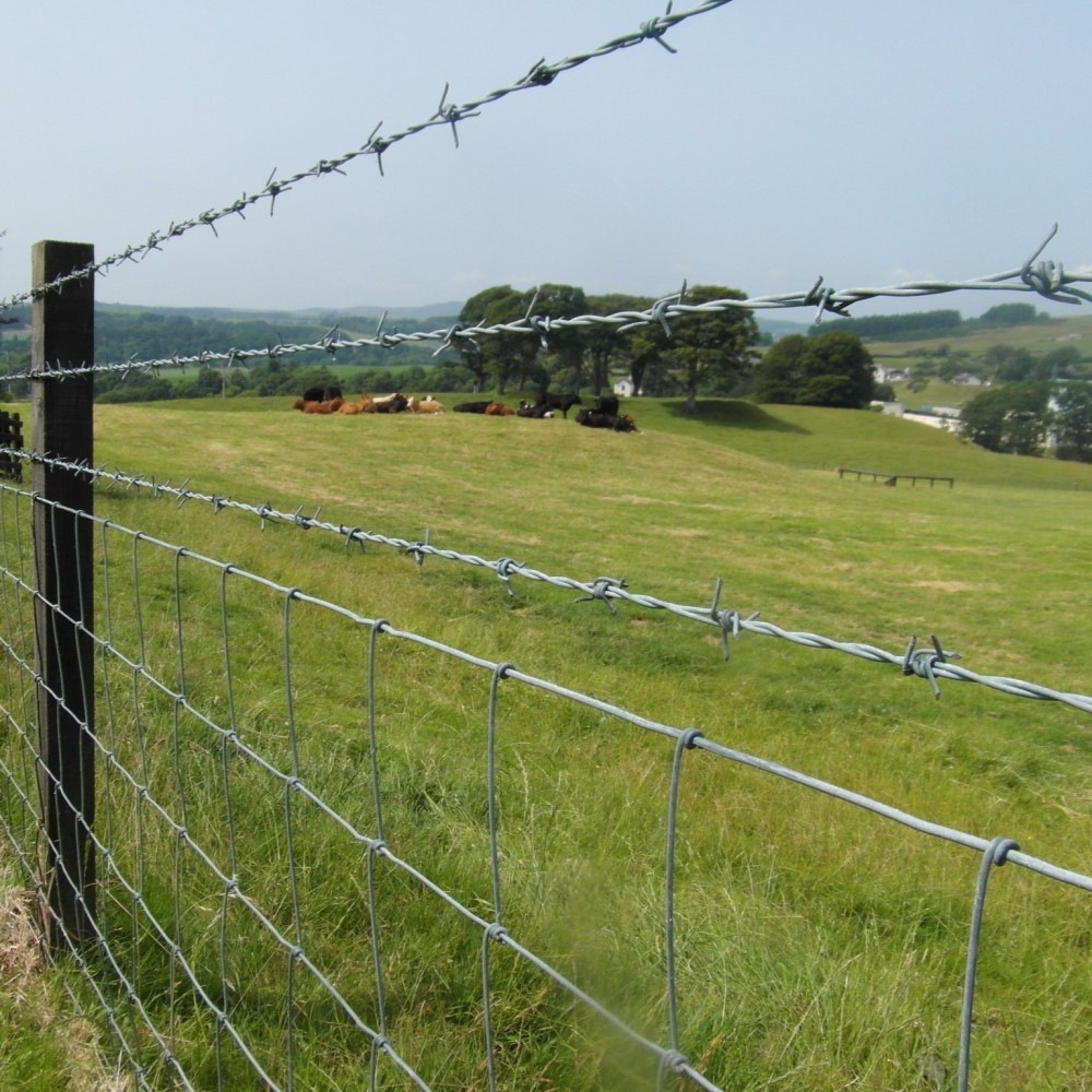  Looking for high-quality Barbed Wire in Lucknow? Visit Adarsh Steels!