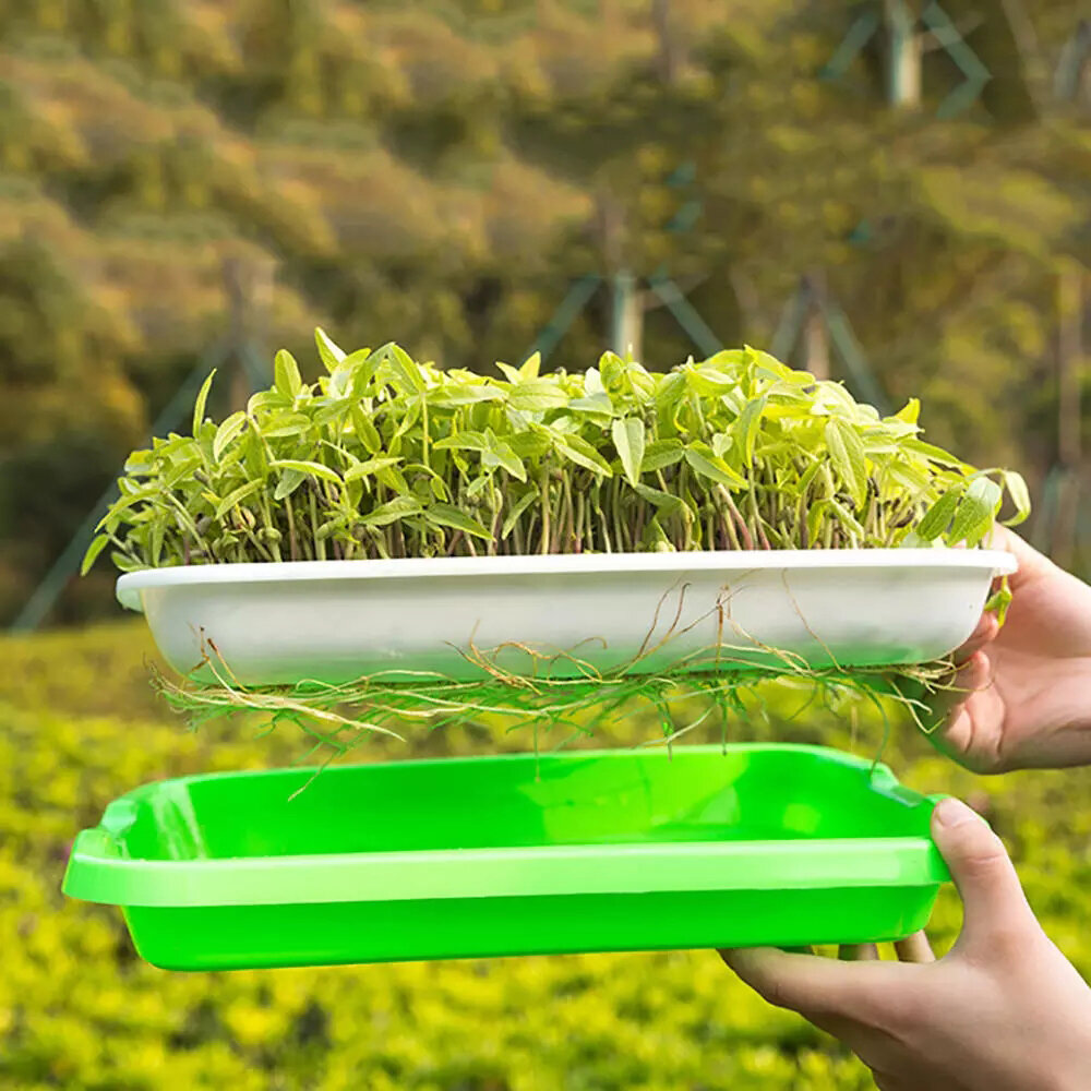  Premium Microgreens Kit for Home Growing Success