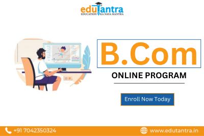  Online Bcom Degree Course in India