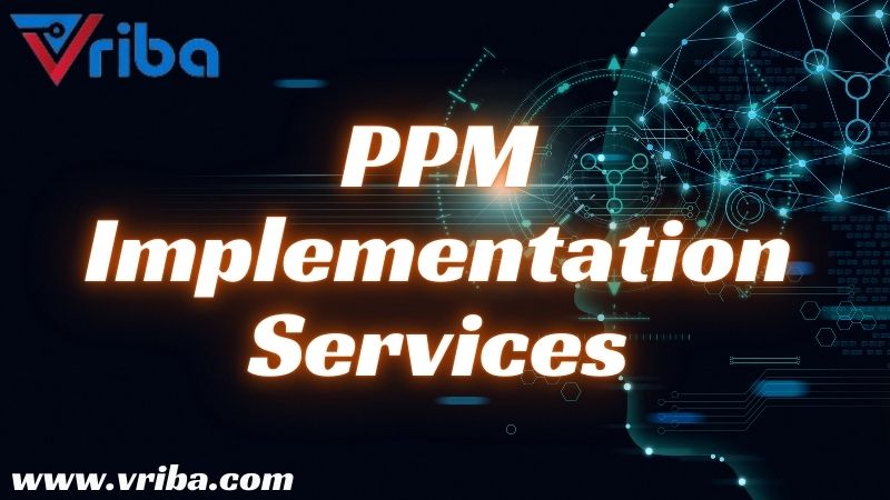  Looking for PPM Implementation Services