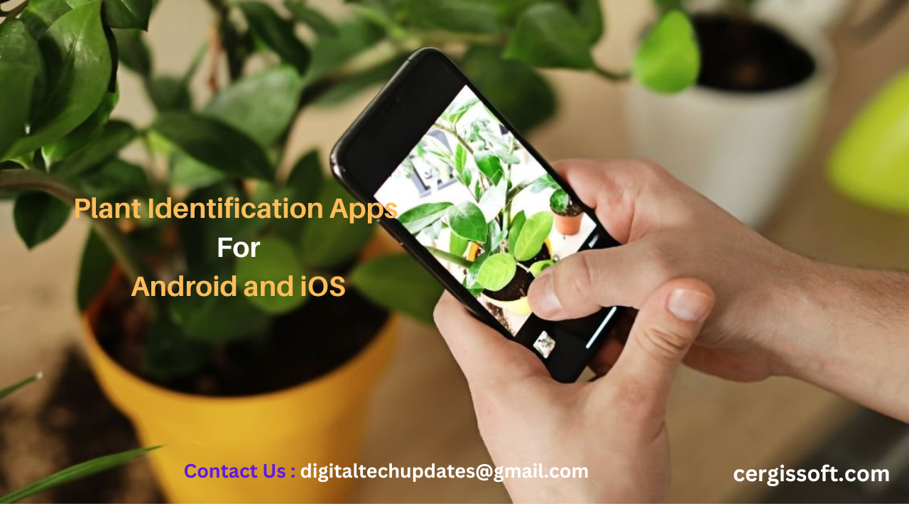  Best Apps for Plant Identification in 2024