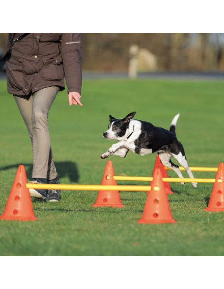  Top Puppy Obedience Training in Atlanta for Well-Behaved Dogs