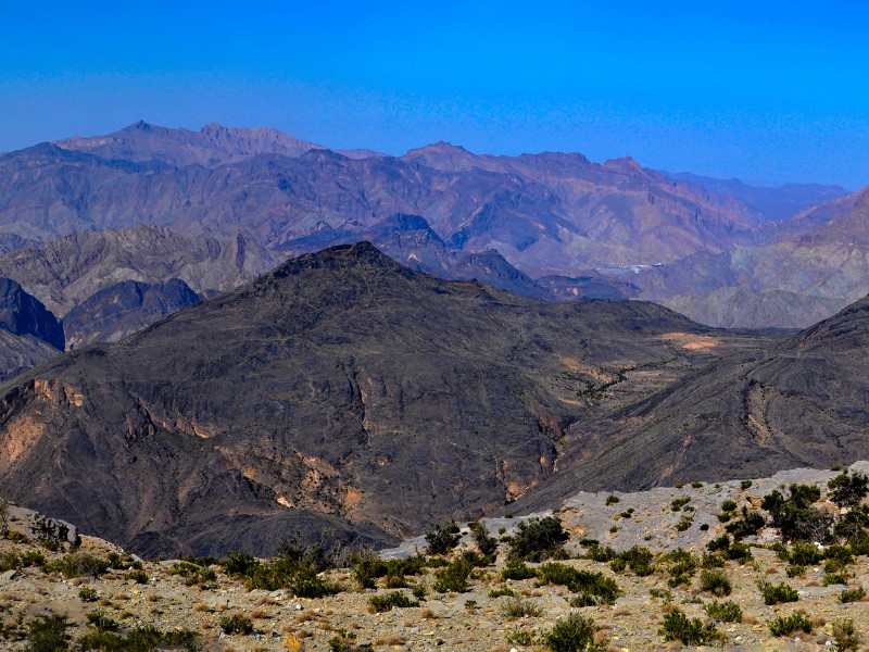  Half Day Tour in Muscat