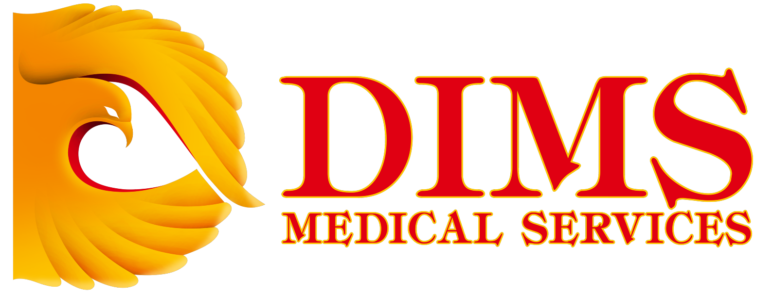  DIMS Medical Service-Basic Life Support Course Dubai