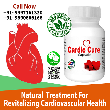  Cardio Cure for Healthy Cardiovascular Performance