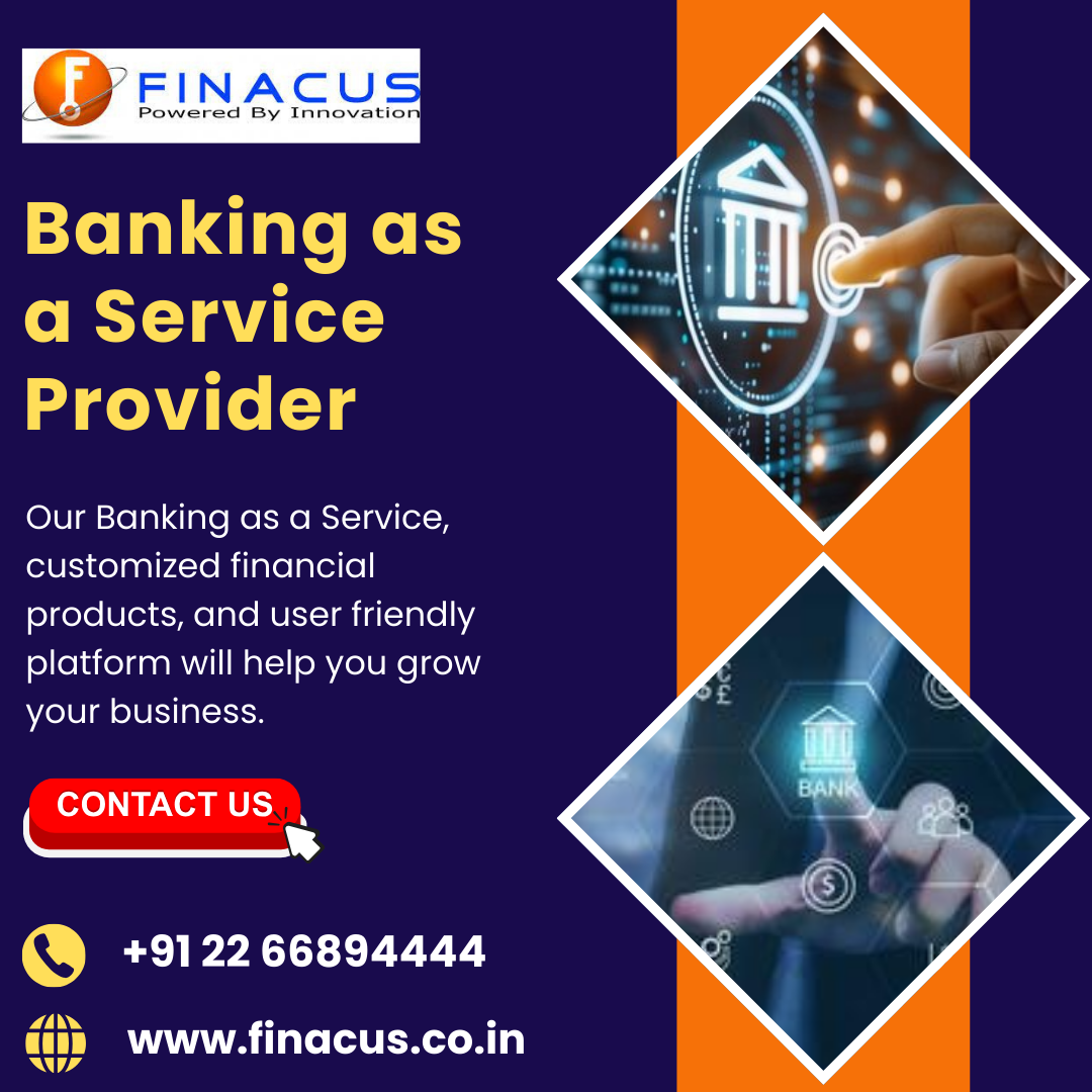  Banking as a Service Provider