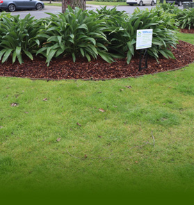  Gardening Services Melbourne | Gardener Landscape Maintenance | Bayside Gardening