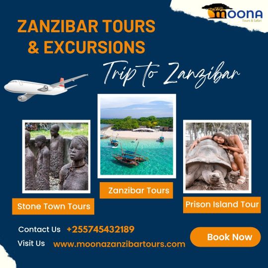  Zanzibar Travel Agency