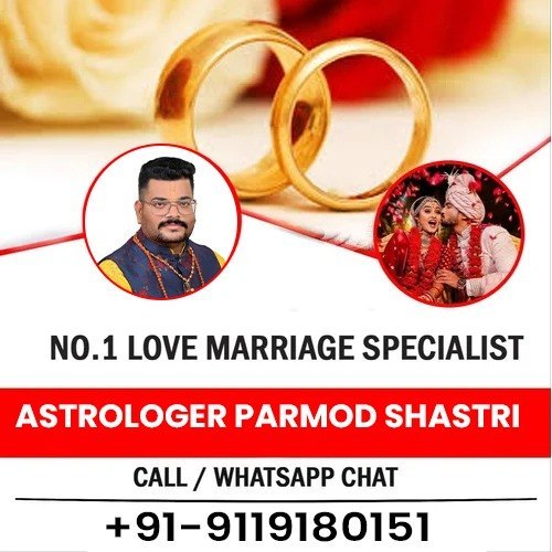  No1 Love Problem Specialist Astrologer