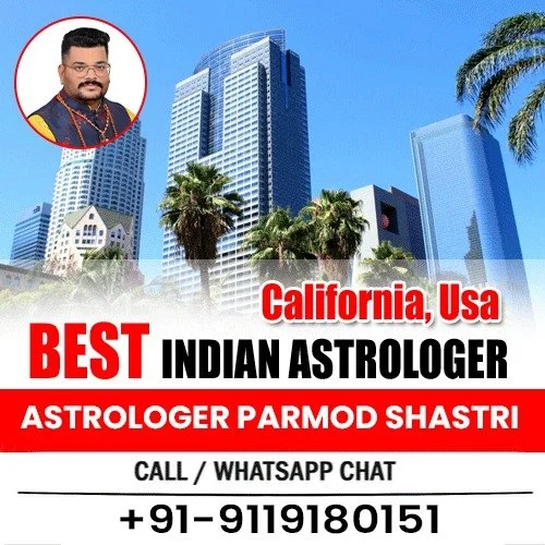  Best Indian Astrologer in California Usa