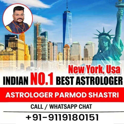  Best Indian Astrologer in New York Usa