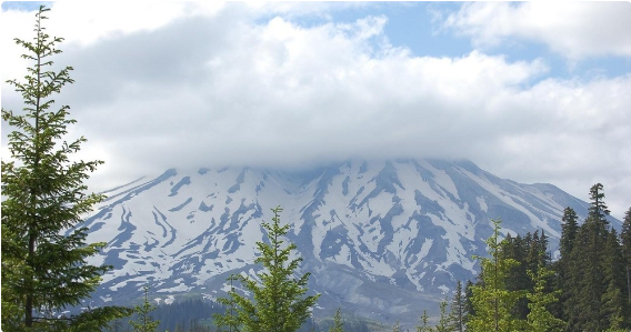  Mount St. Helens guided tours