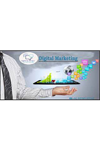  Online marketing Consultant in Punjab