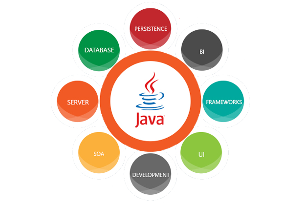  Best Java Application Development Company in the USA