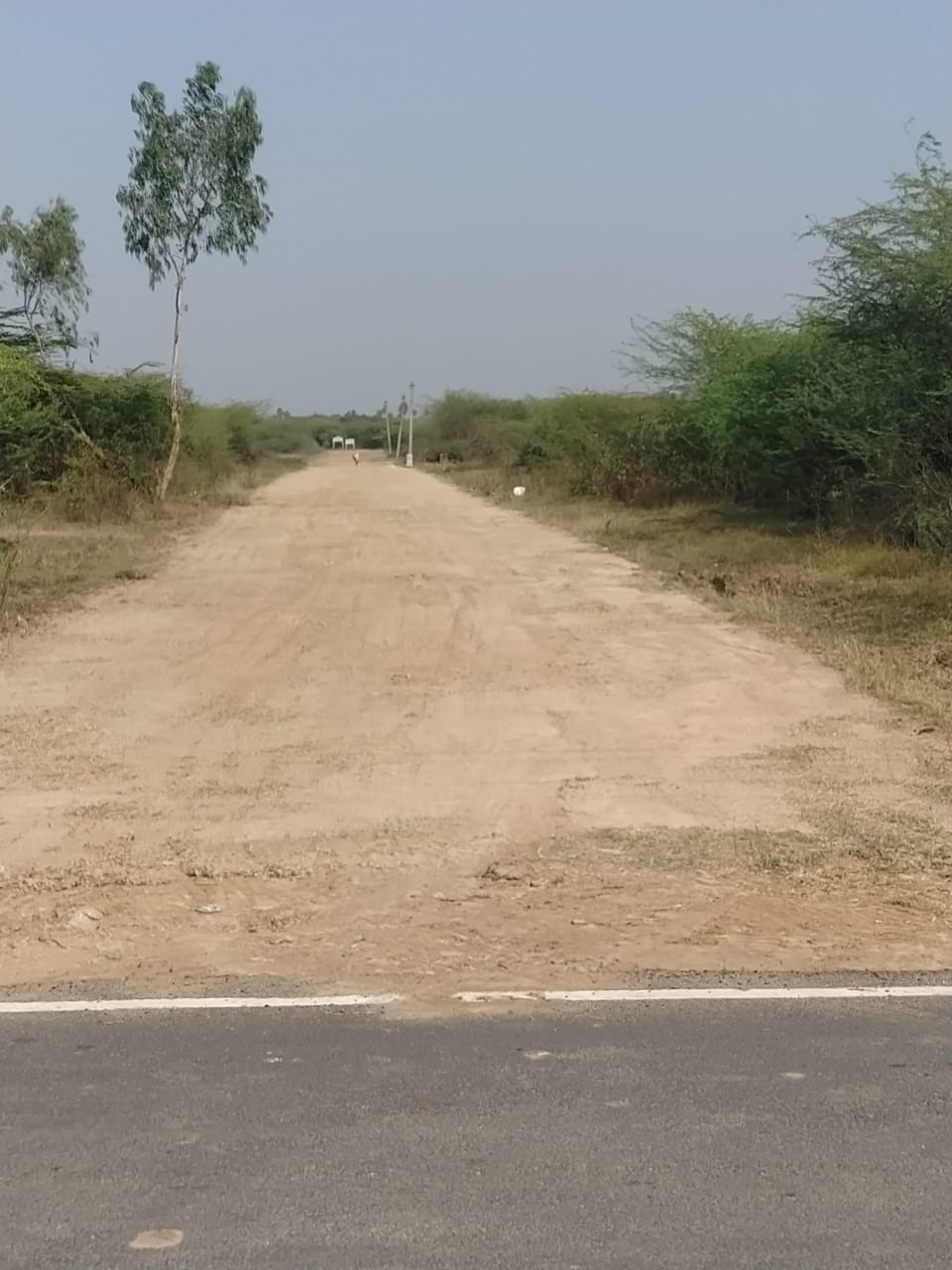  DTCP APPROVED PLOTS FOR SALE AT SEVAPPET  IN EMI SCHEME