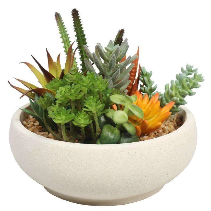  Grab These Stunning Artificial Succulents and Orchids at Wholesale Prices