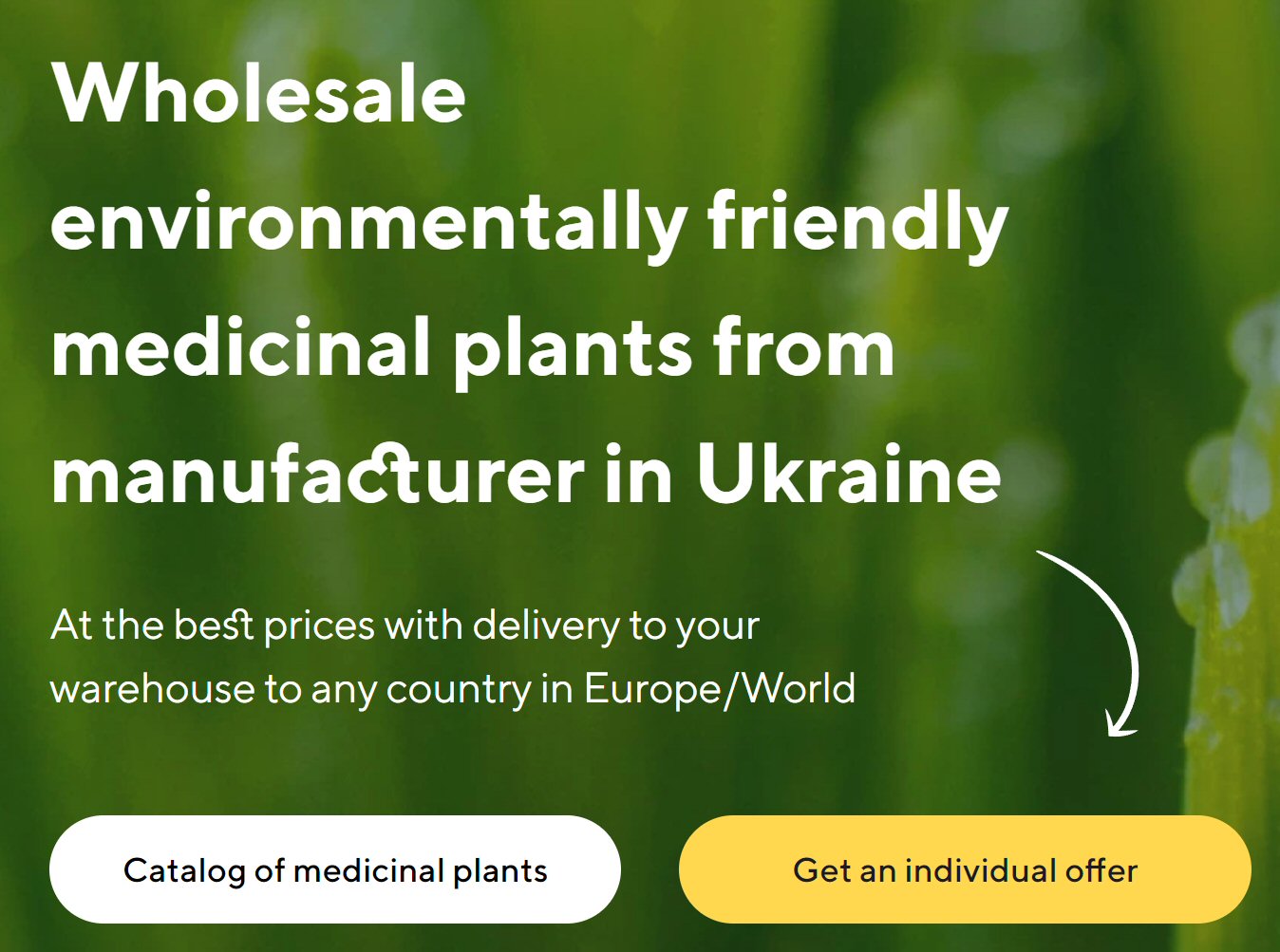  Sale of medicinal plants in bulk from the manufacturer at the best prices