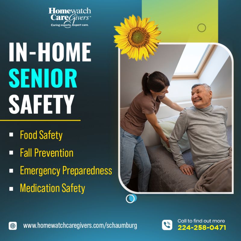  Schaumburg Home Health Care Services - HomeWatch CareGivers