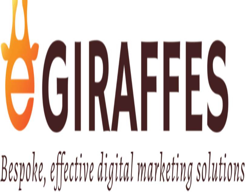  Boost Your Online Presence! Top SEO Agency in Pune: E Giraffes