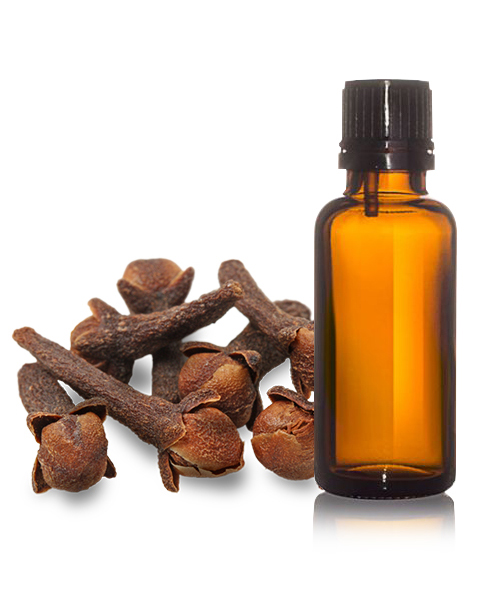  Clove Oil Manufacturer Turkey