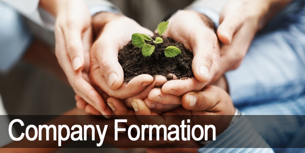  Company formation in India 1