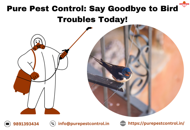  Keep Birds at Bay: Expert Bird Control Solutions Tailored to Your Needs!