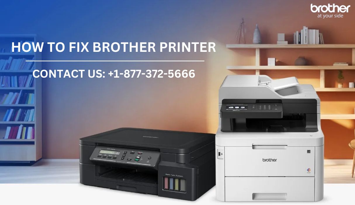  +1-877-372-5666 | How to Fix Brother Printer | Brother Printer Support