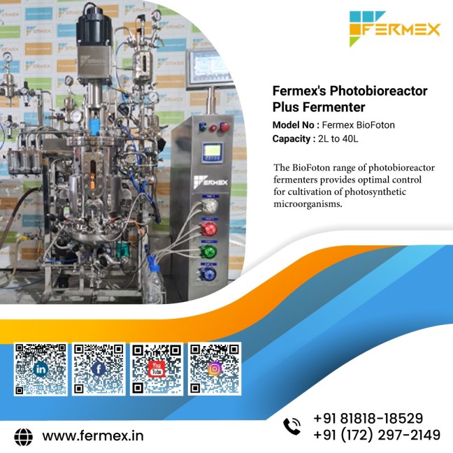  Maximizing Efficiency and Yield in Bioprocessing with Fermex Bioreactors