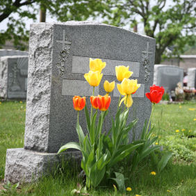  Carter Funeral Home - Denbigh Chapel