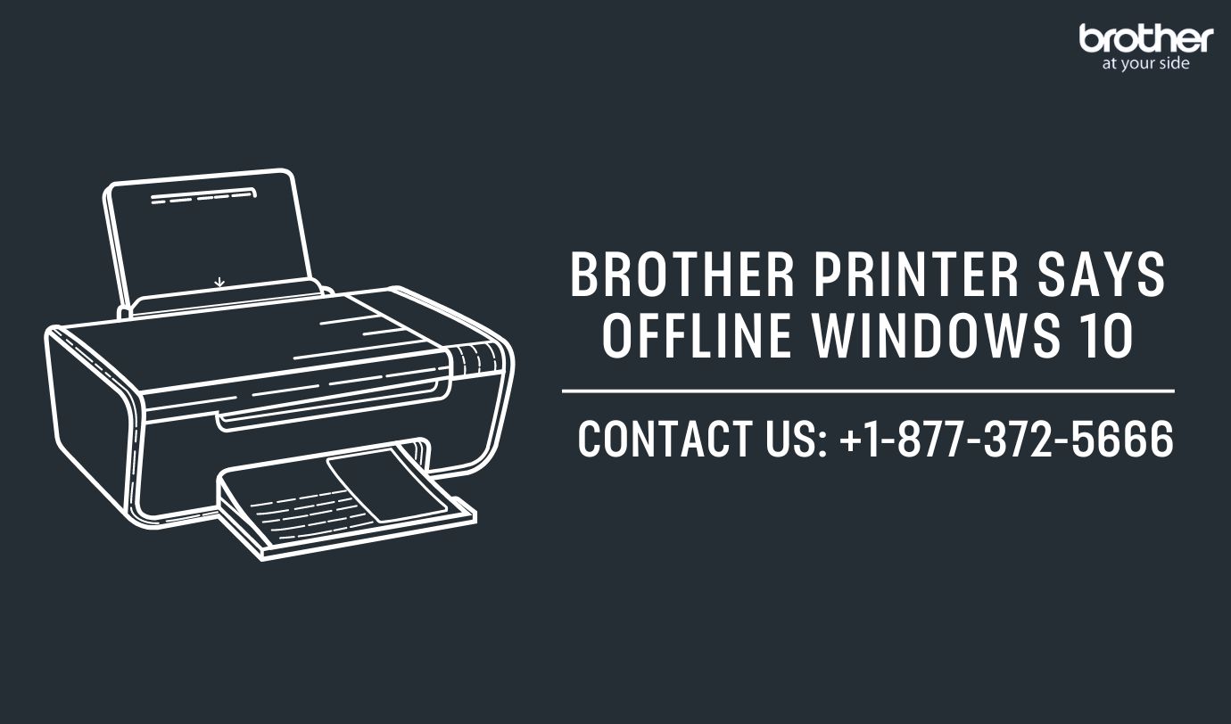  +1-877-372-5666 | Brother Printer Says Offline Windows 10 | Brother Printer Support