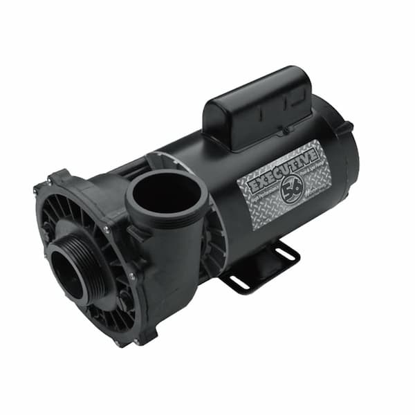  Waterway Plastics 3711621-1D Executive 56 Frame 4 Hp Spa Pump, 230 V