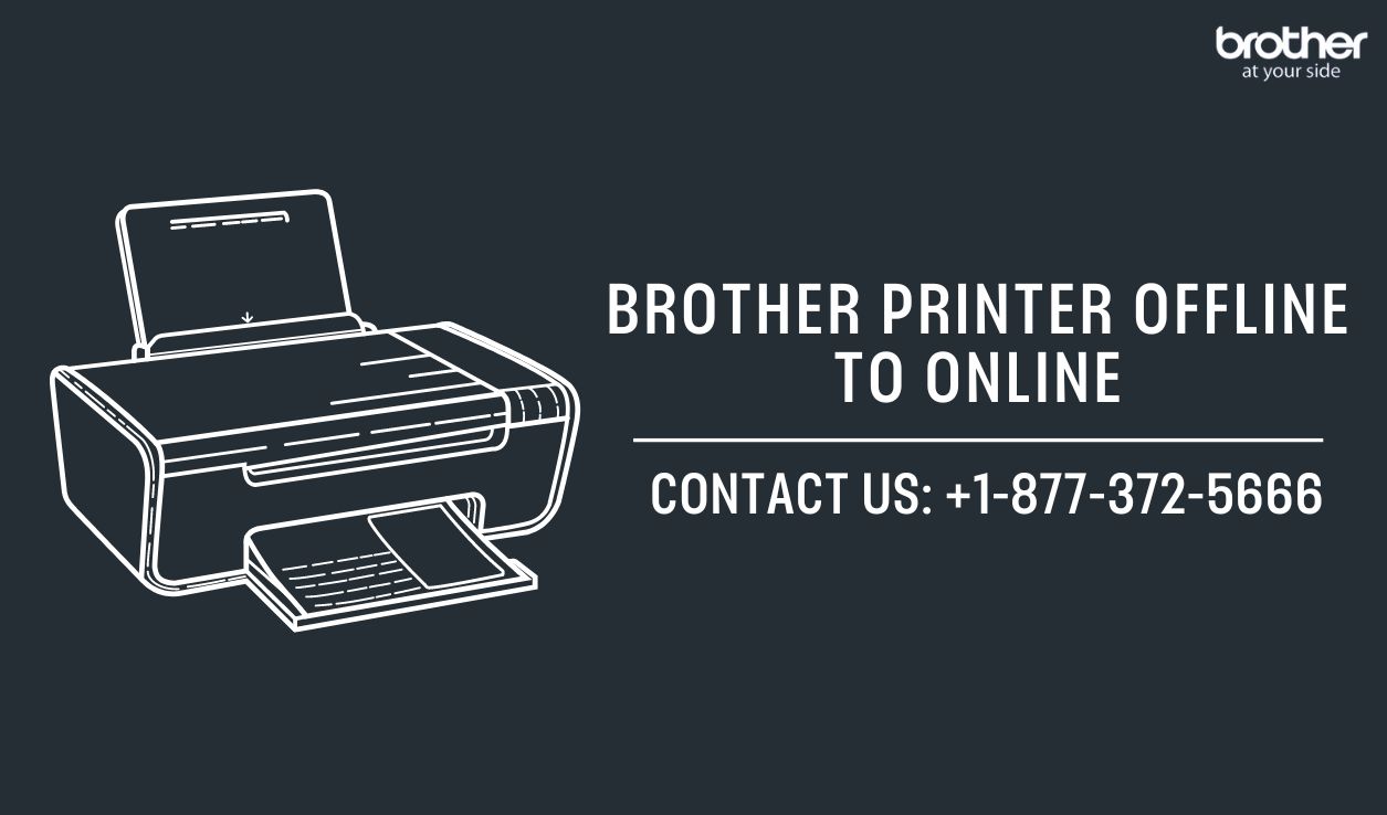  +1-877-372-5666 | Brother Printer Offline to Online | Brother Printer Support