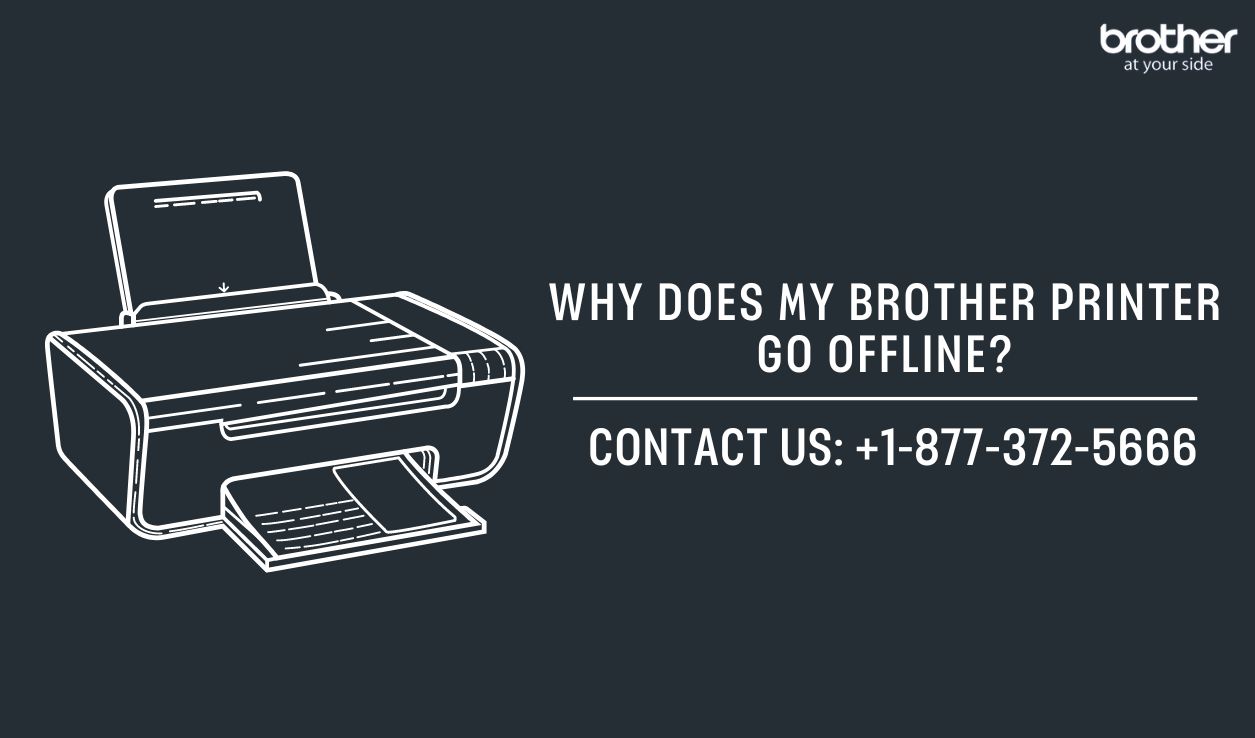  +1-877-372-5666 | Why Does My Brother Printer Go Offline? | Brother Printer Support