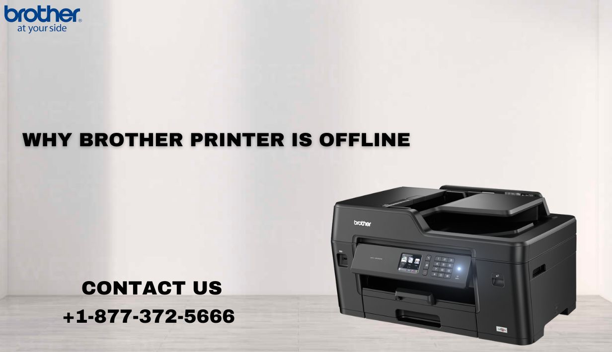  +1-877-372-5666 | Why Brother Printer Is Offline | Brother Printer Support