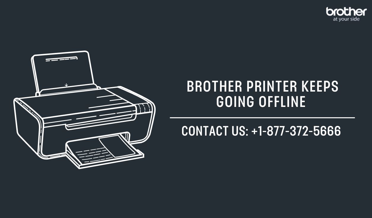  +1-877-372-5666 | Brother Printer Keeps Going Offline | Brother Printer Support