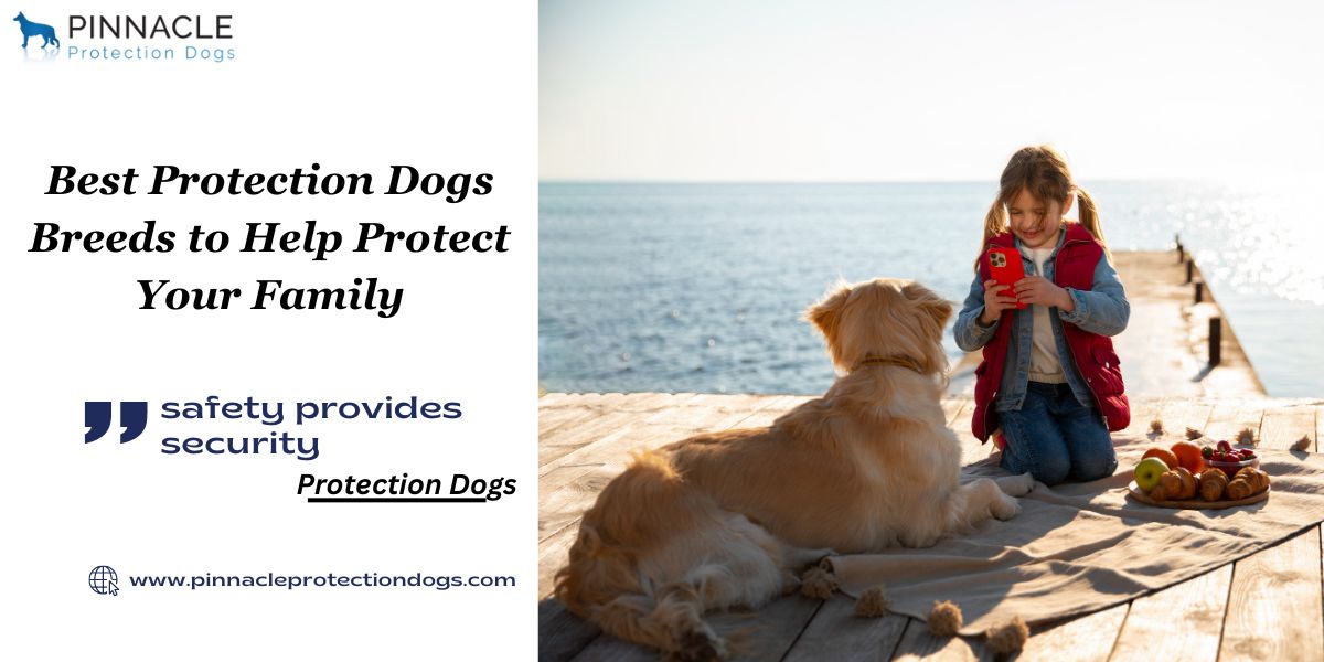  Choose a Protection Dogs for Ladies Safety | Pinnacle Protection Dogs