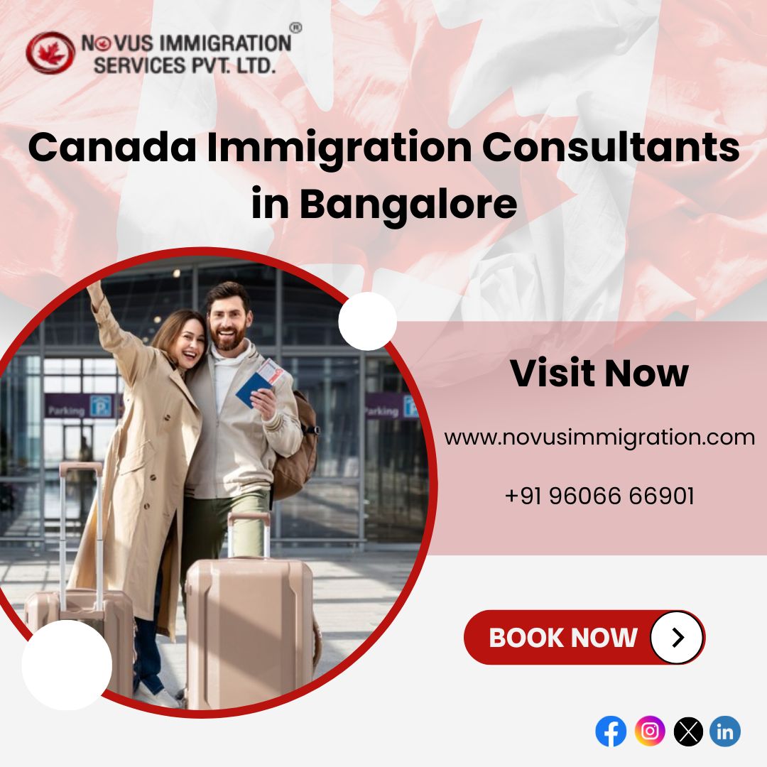  Novus Immigration: Your Trusted Partner in the Immigration Process