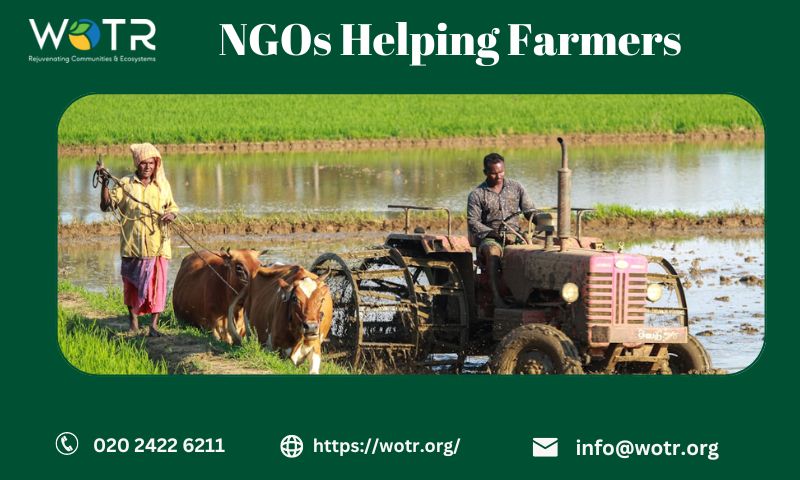  Support Agriculture With NGOs Helping Farmers