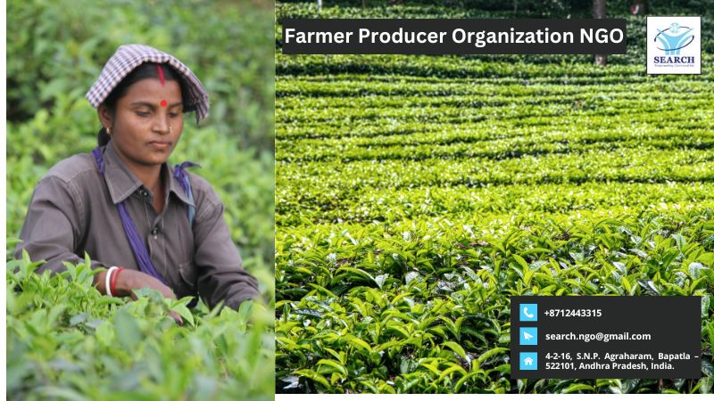  Search NGO - Best Farmer Producer Organization NGO in Andhra Pradesh