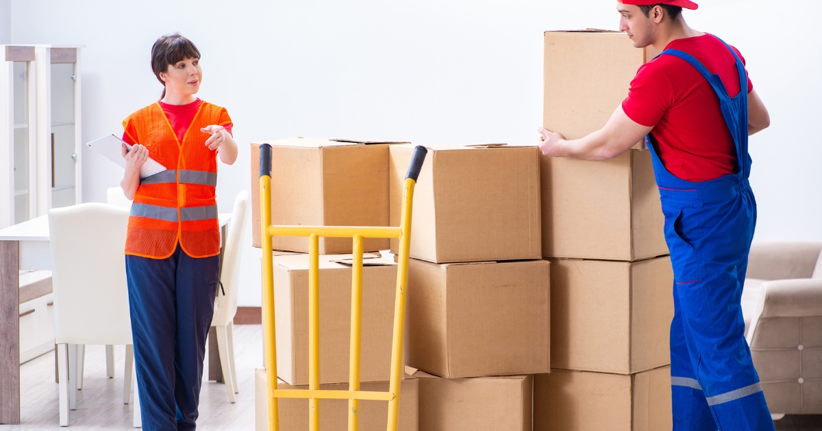  Tera Moving- The Best Movers & Packers Near Me