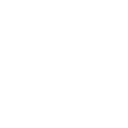  Jesse Davies Team