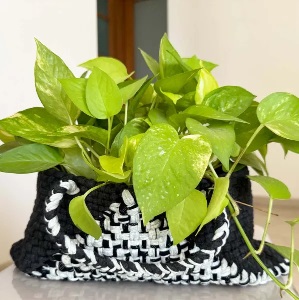  Grow Your Indoor Garden: Get Planters Online from Project1000